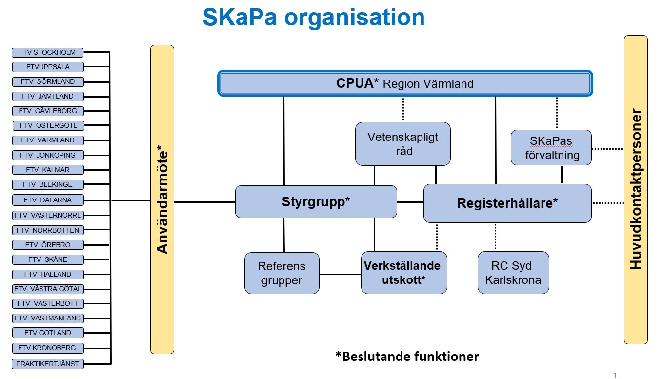 SKaPa organisation 2020